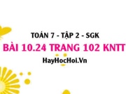 Bài 10.24 trang 102 Toán 7 Tập 2 Kết nối tri thức